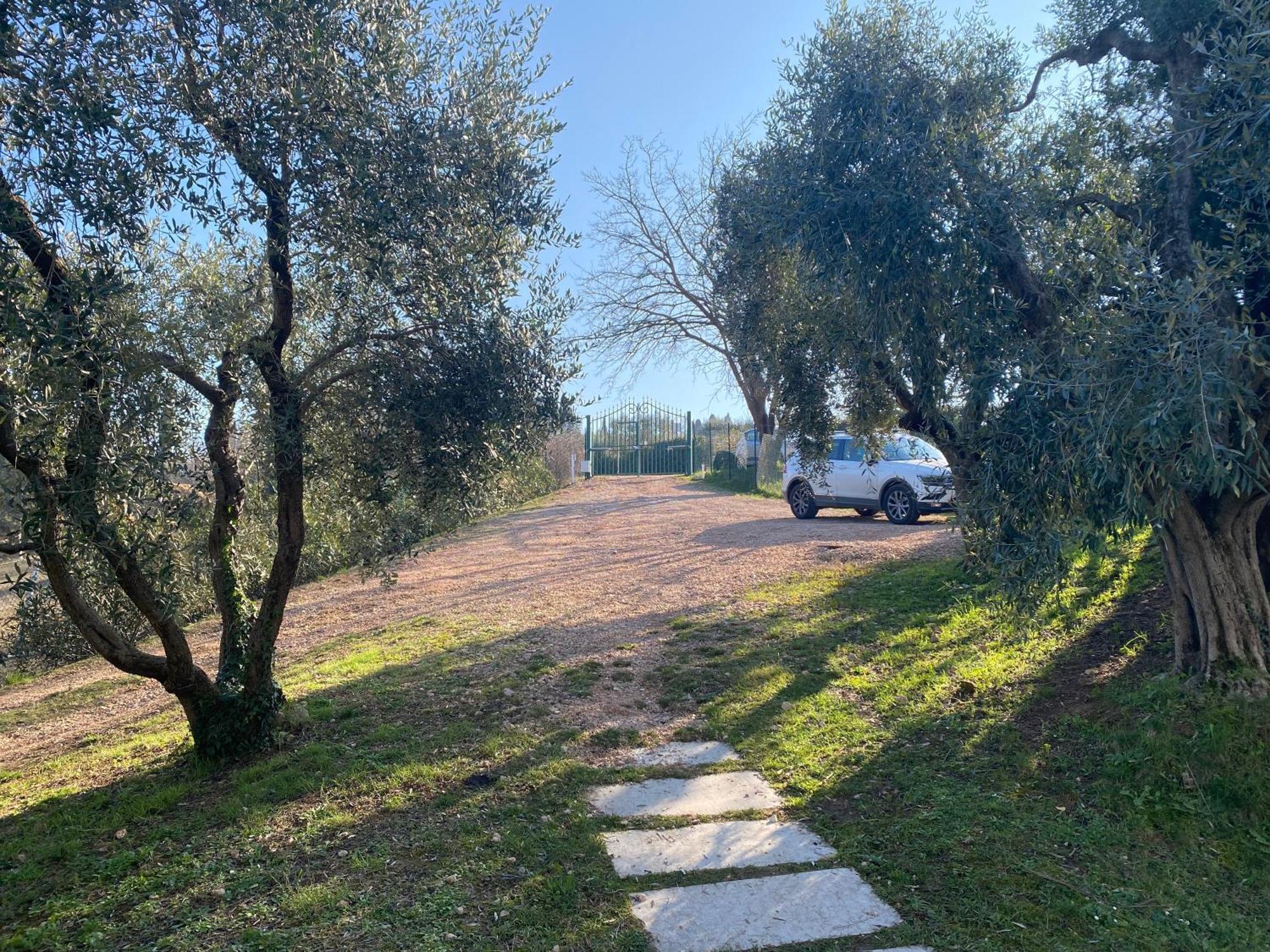 Residenza Cipressi E Olivi Lejlighed Verona Eksteriør billede